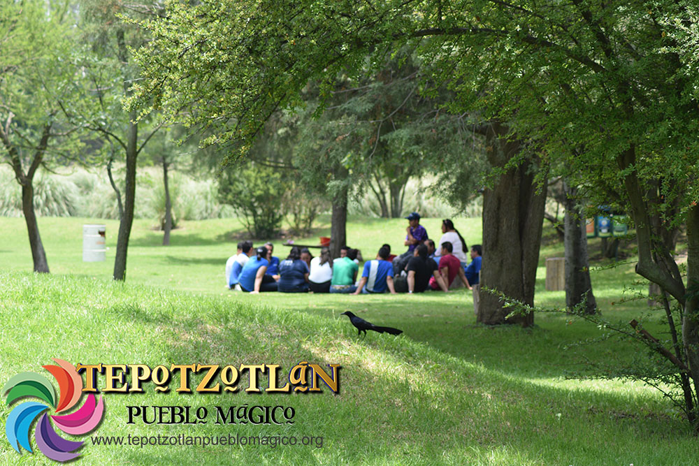 Descubre el Verano en Tepotzotlán