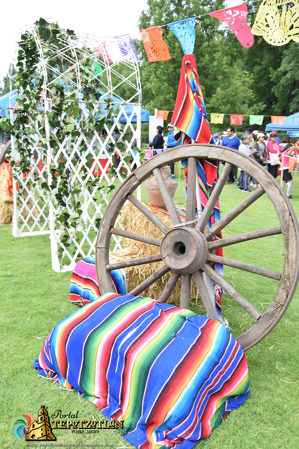 feria-de-las-flores-xochitla-tapete-monumental-III