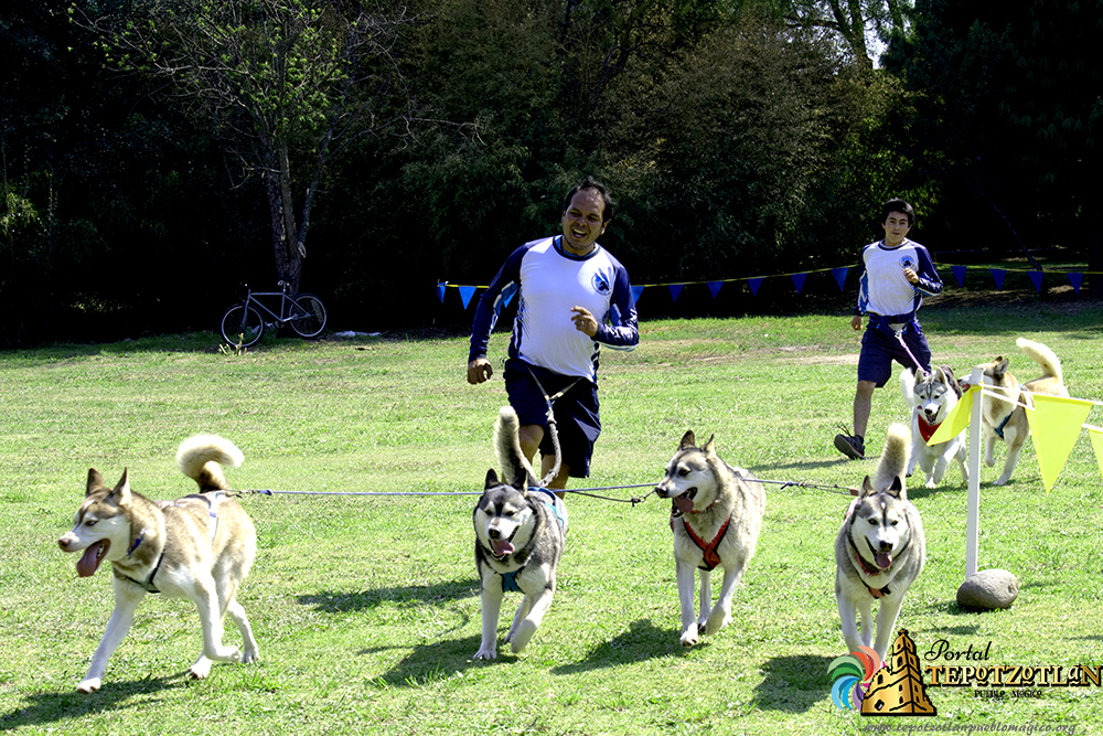 Día canino Xochitla 2018