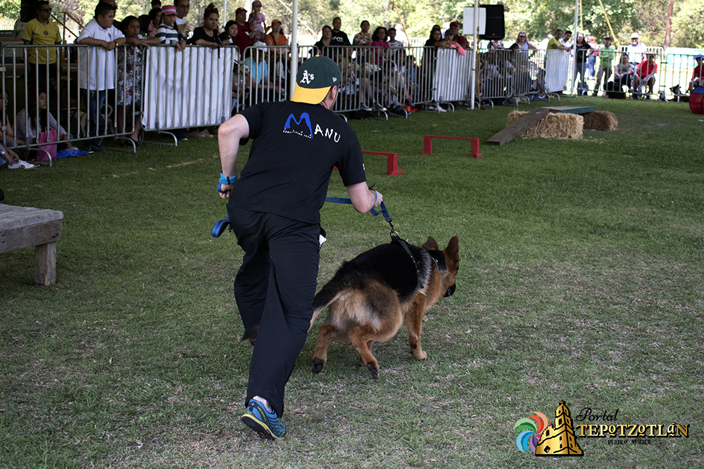 Día canino Xochitla 2018